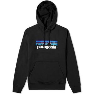 Patagonia Hoodie